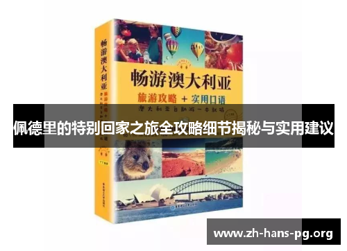 佩德里的特别回家之旅全攻略细节揭秘与实用建议
