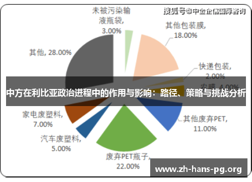 中方在利比亚政治进程中的作用与影响：路径、策略与挑战分析