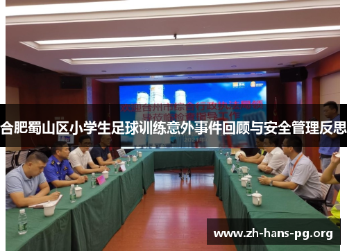 合肥蜀山区小学生足球训练意外事件回顾与安全管理反思